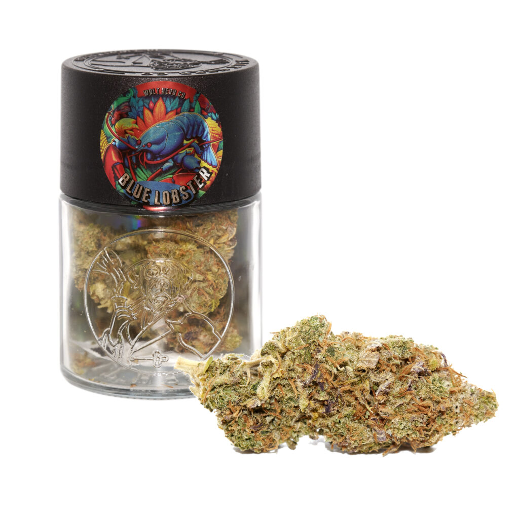 BLUE LOBSTER // 7g jar – SALE