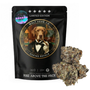 Pink Kraken AAAA+ Exotic Gas - Fast weed delivery near me in Oshawa and Ajax.