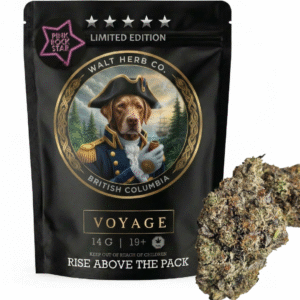 Pink Rockstar AAAA+ Premium Gas - 34% THC Pink Kush x Rockstar Kush for pure indica cannabis delivery Toronto.