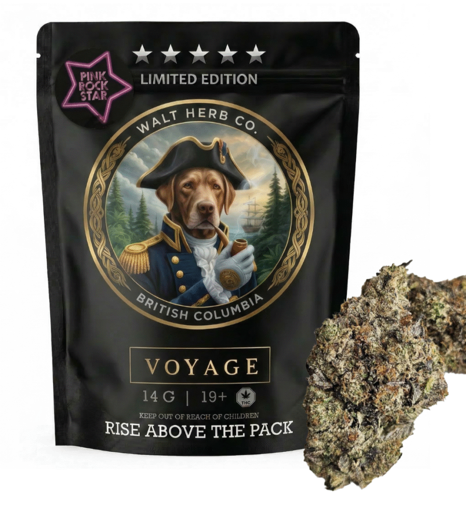 Pink Rockstar – Limited edition: Voyage