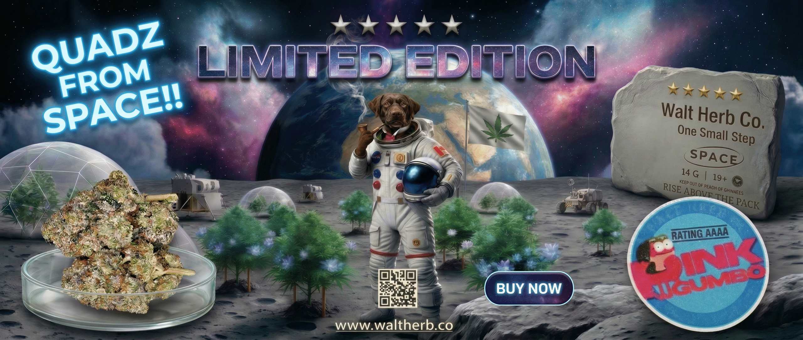 weed delivery toronto