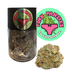 PINK PANTIES // 7G JAR