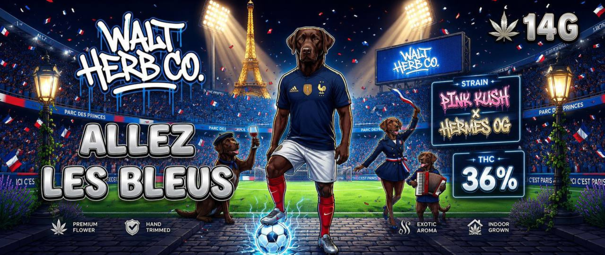 indica strain world cup banner