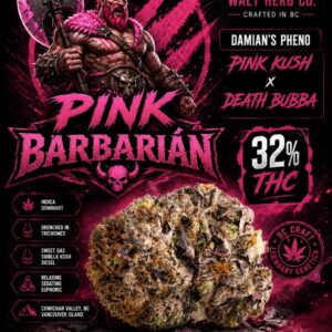 pink barbarian