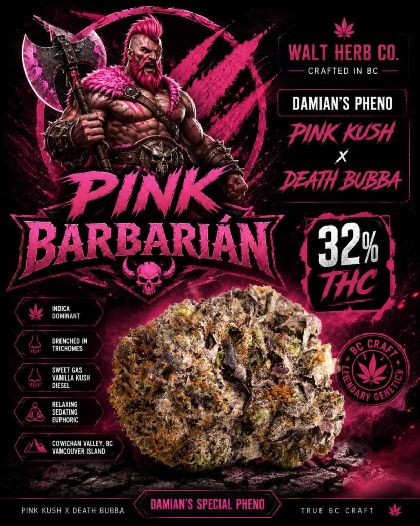 Pink Barbarian // 7g jar