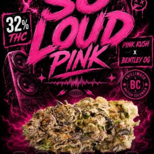 SO LOUD PINK: 7g jar by Walt Herb Co.