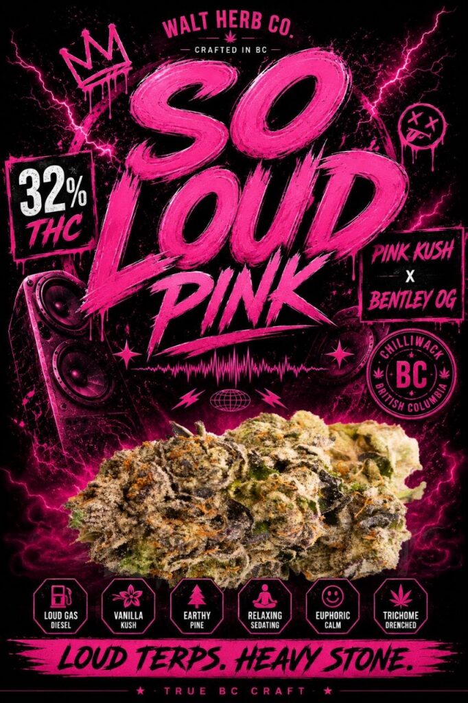 SO LOUD PINK // 7g jar