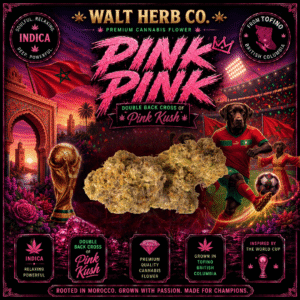 pink pink indica