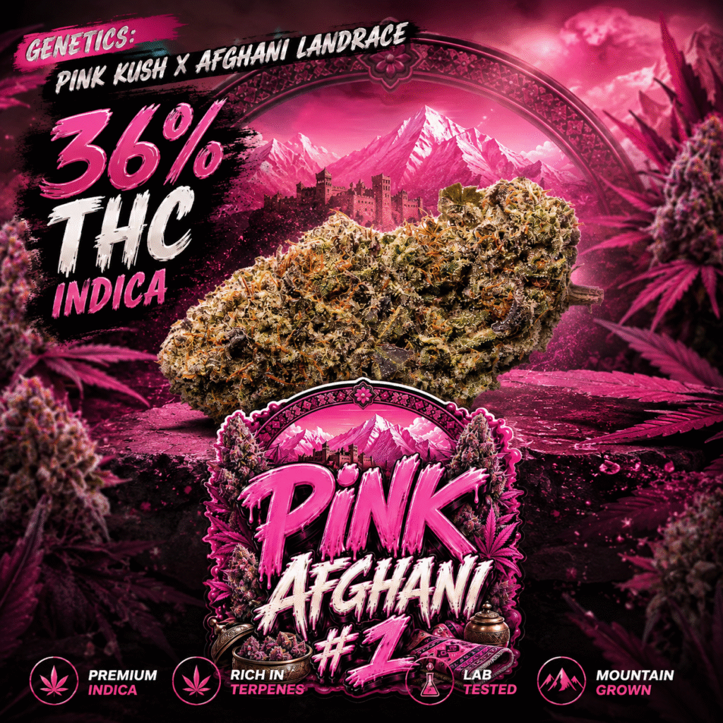 Pink Afghani #1 // 7G Jar