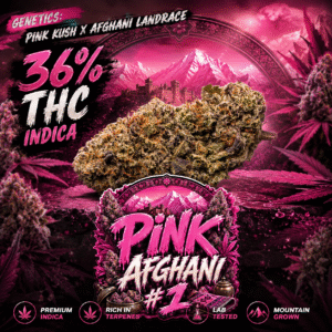 Pink Afghani #1 — 7G Jar